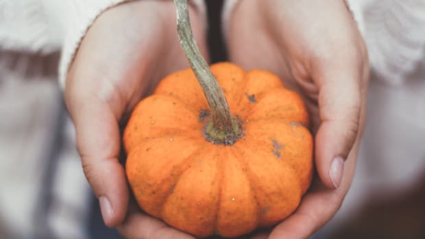 社交距离感恩节