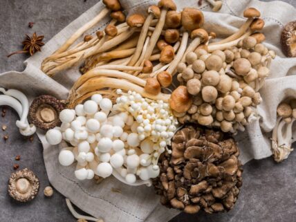 研究:蘑菇可减少脑下降